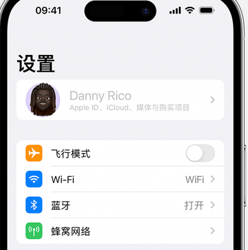 兴和appleID维修服务iPhone设置中Apple ID显示为灰色无法使用