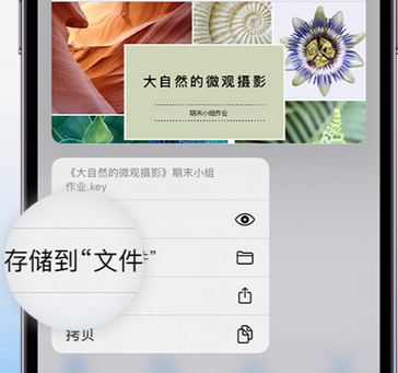 兴和apple维修中心分享iPhone文件应用中存储和找到下载文件