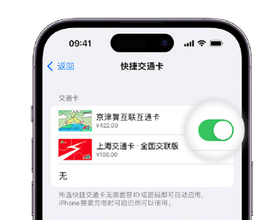 兴和apple维修点分享iPhone上更换Apple Pay快捷交通卡手绘卡面 