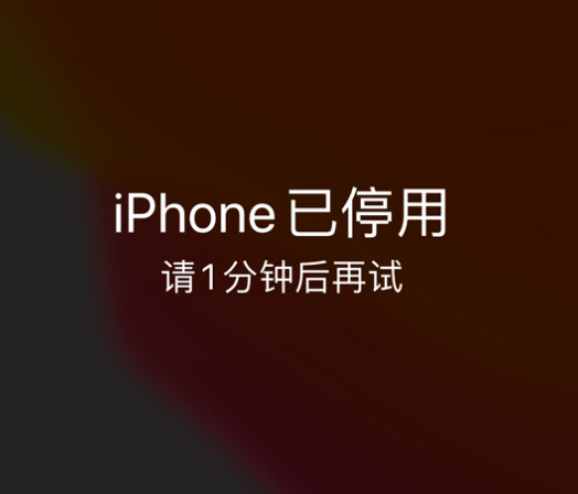 兴和苹果手机维修分享:iPhone 显示“不可用”或“已停用”怎么办？还能保留数据吗？ 