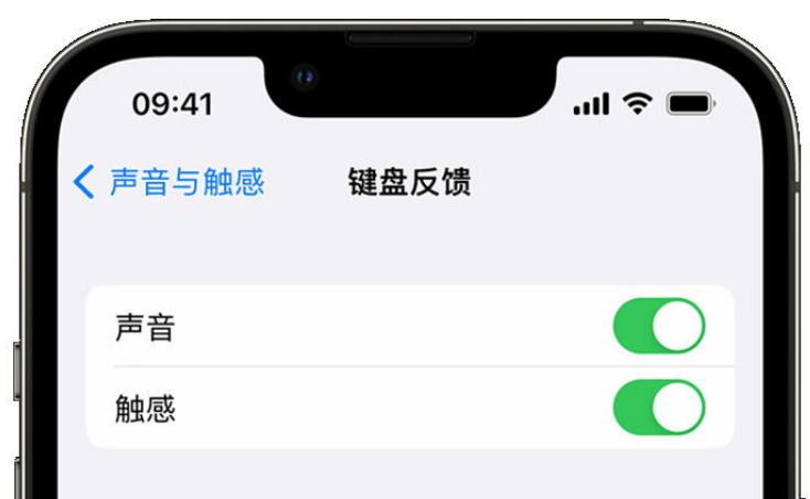 兴和苹果手机维修分享iPhone 14触感键盘使用方法 