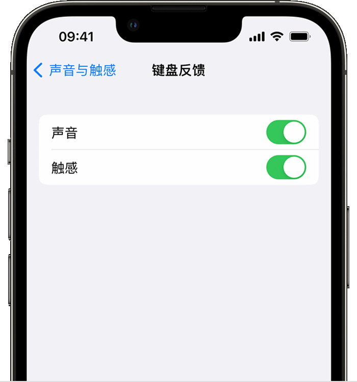 兴和苹果14维修店分享如何在 iPhone 14 机型中使用触感键盘 