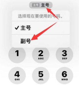 兴和苹果14维修店分享iPhone 14 Pro Max使用副卡打电话的方法 