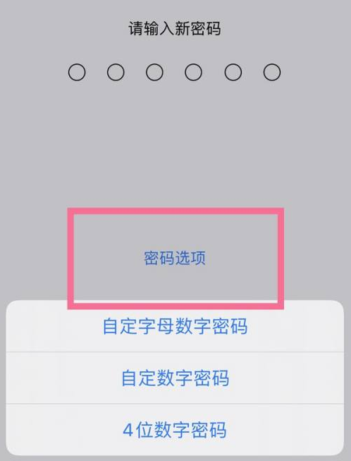 兴和苹果14维修分享iPhone 14plus设置密码的方法 