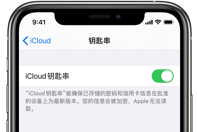 兴和苹果手机维修分享在 iPhone 上开启 iCloud 钥匙串之后会储存哪些信息 